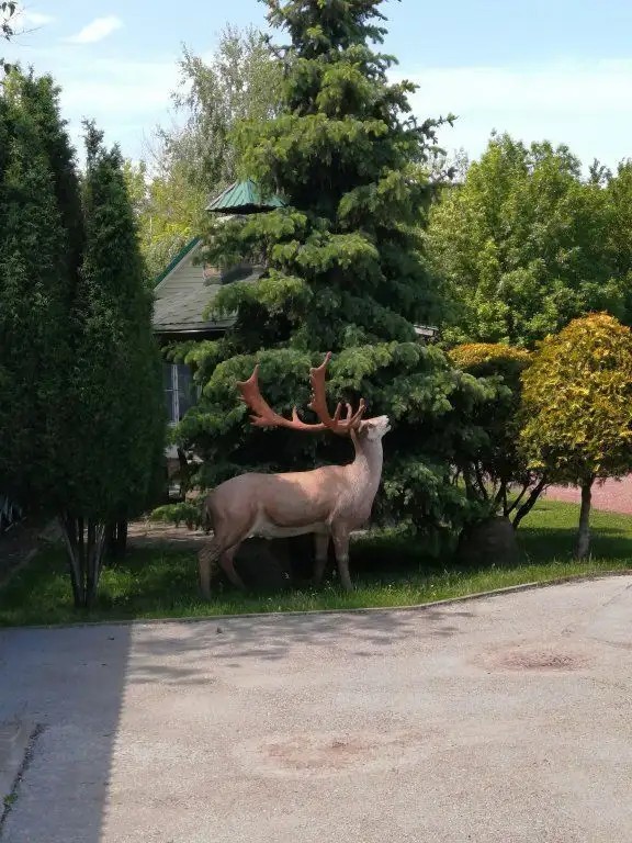 ДОМ ОХОТНИКА