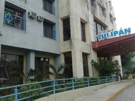 TULIPAN