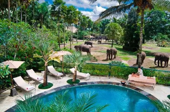 MASON ELEPHANT PARK AND LODGE