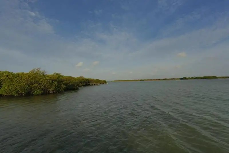 DUTCH BAY RESORT