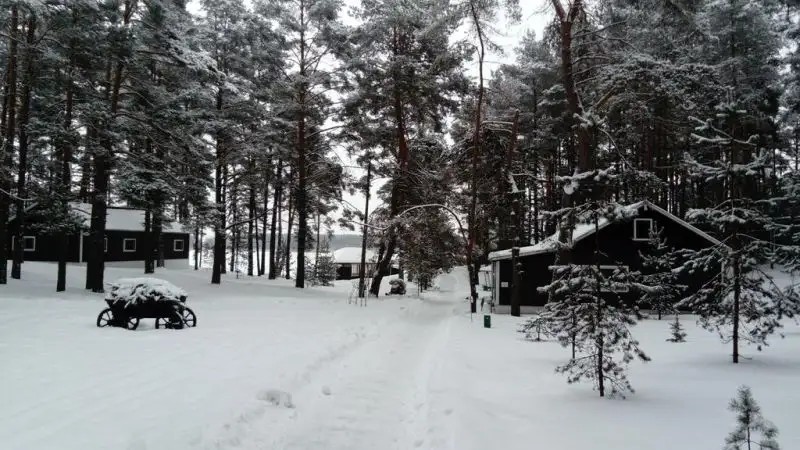ЛУКОМОРЬЕ ПСКОВ